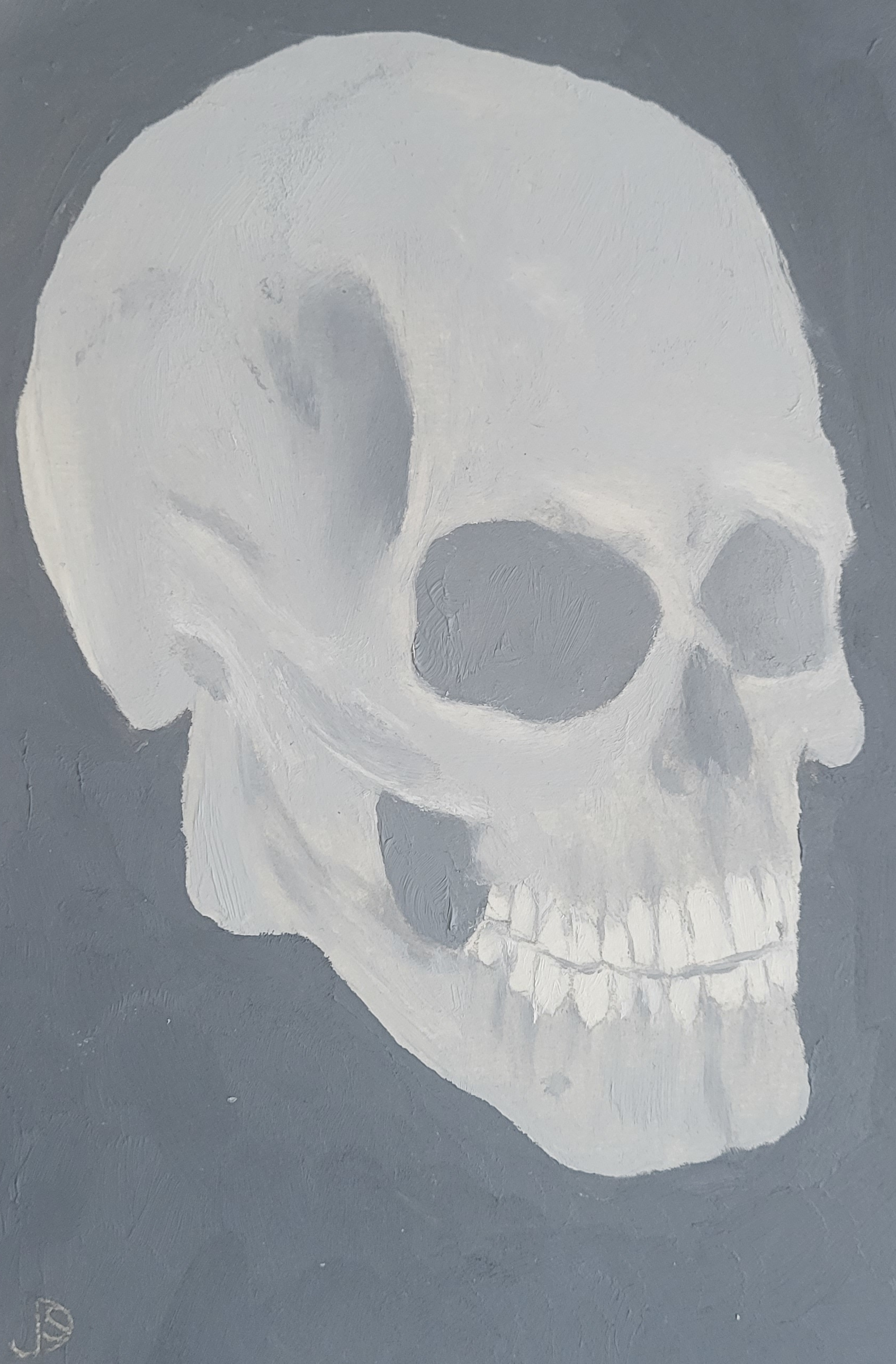 Skull Study — Oil painting on paper